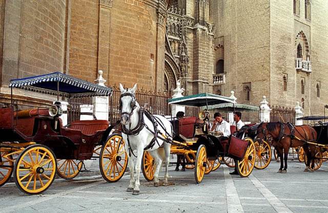 organisation d'événements de luxe pour les entreprises à Seville par PREFERENCE EVENTS