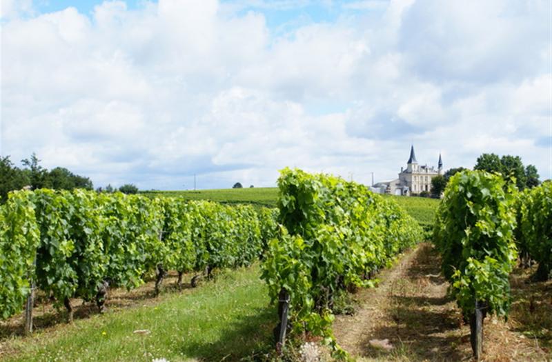 événements incentive pour vos entreprises à Bordeaux par PREFERENCE EVENTS