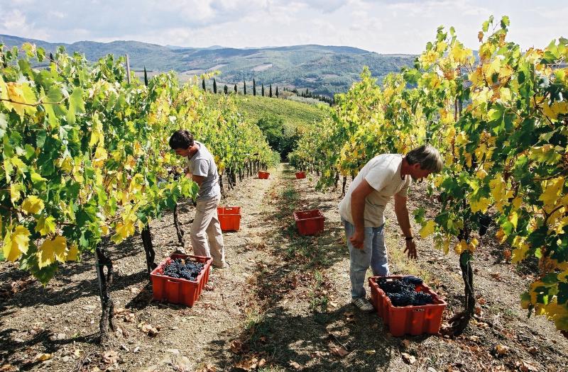 Organisation de seminaires et conventions a Florence, en Italie par PREFERENCE EVENTS
